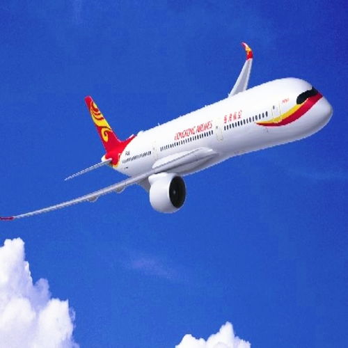 化妝品國際貨運(yùn)服務(wù)全解析 銳邁國際快遞與商檢報(bào)關(guān)指南